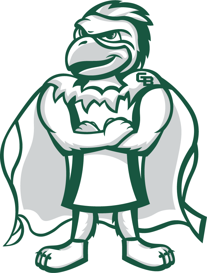 Wisconsin-Green Bay Phoenix 2020-Pres Mascot Logo v4 iron on transfers for T-shirts